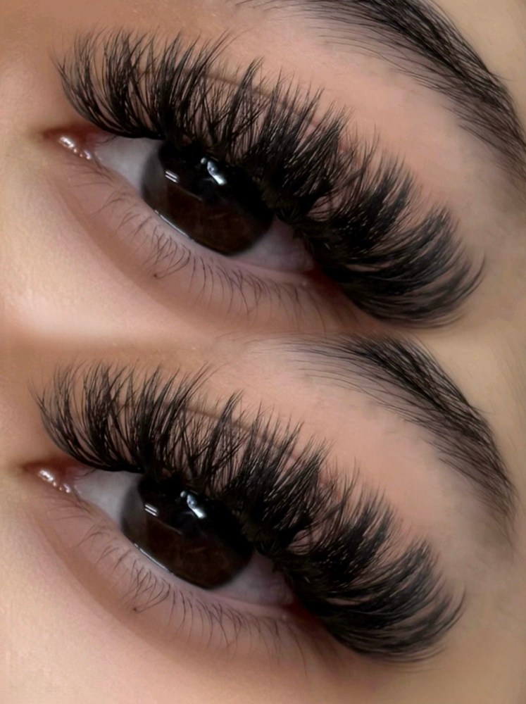 Volume Lashes