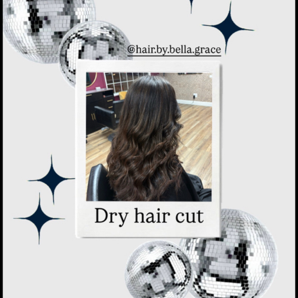 Dry Hair Cut at BOLD Beauty Bar & Extensions in Norwalk, OH