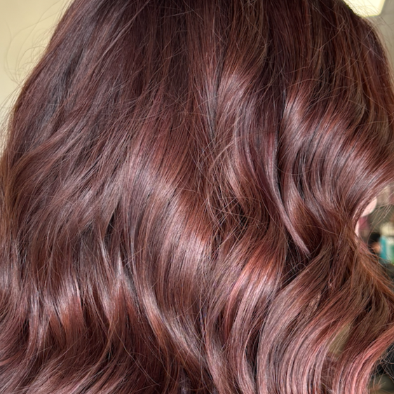 Deep Conditioning Treatment at The Hair Bar in Magee, MS