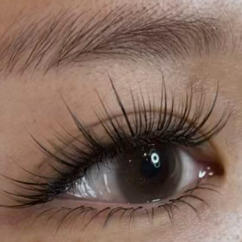 Magic Feathering Lash Refill 5 Week at MAGIC LASH WELLESLEY in Wellesley, MA