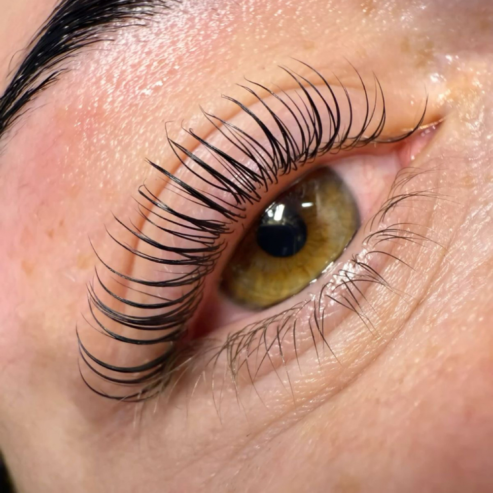 Korean Lash Lift at Timber & Tide Aesthetics in Dover Foxcroft, ME