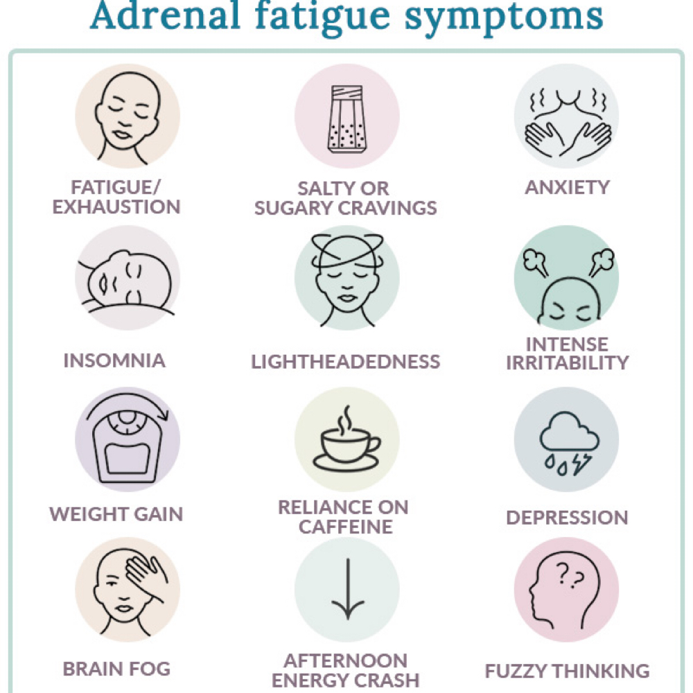 Adrenal Stress & Resilience Panel at Well Kept in Bradenton, FL