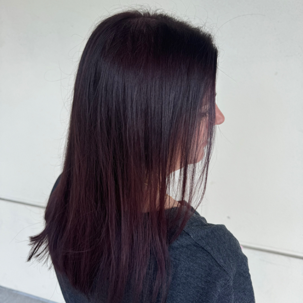 All Over Color at KP Roman in Winter Park, FL