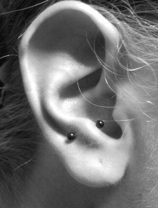 Anti-tragus Piercing at Makenzie/Serpent & Sage in Watertown, NY