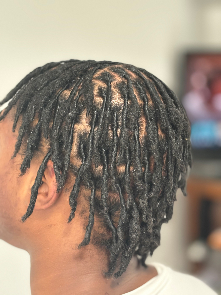 Coil Starter Locs