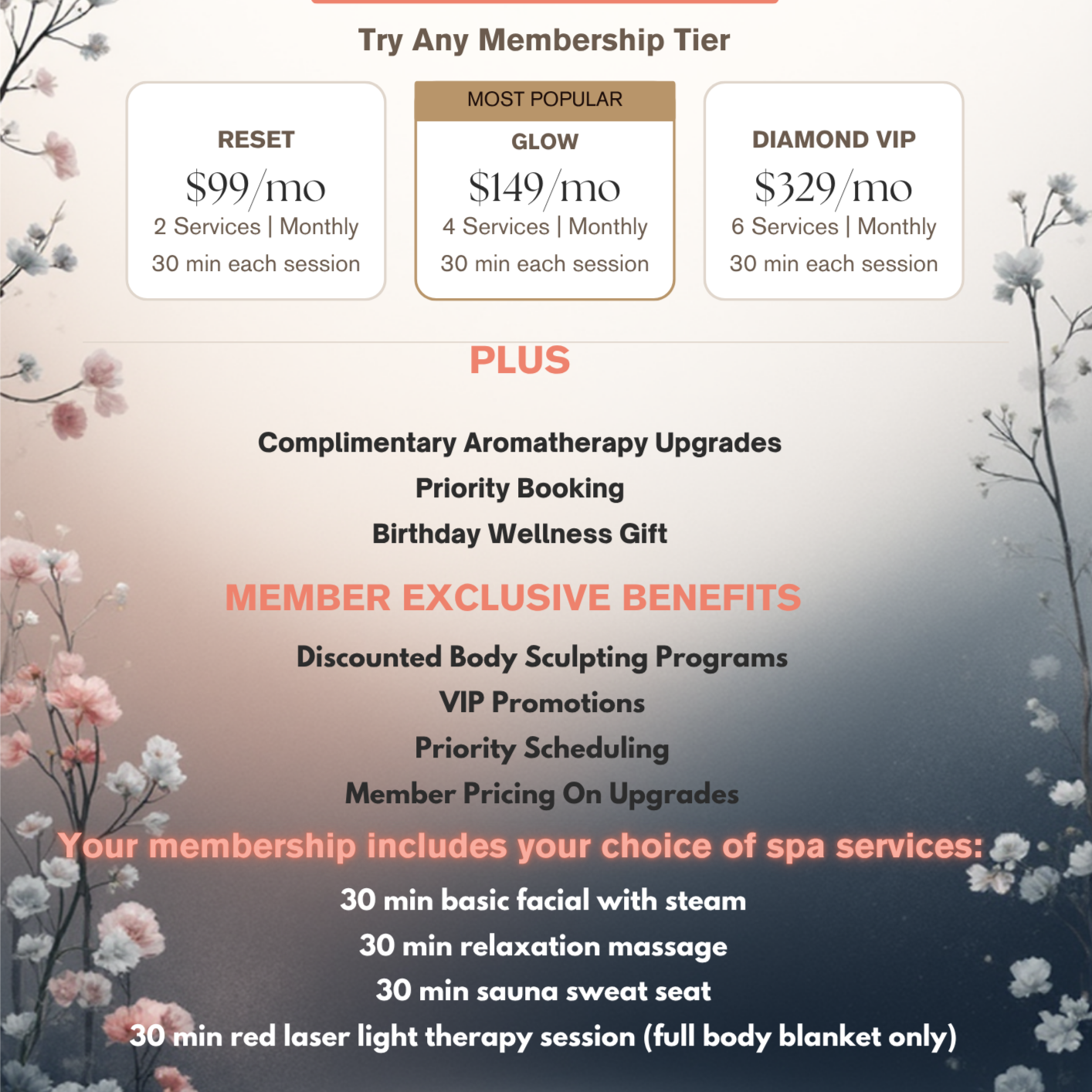 Reset Spa Monthly Membership at Get Body Sculpted in Atlanta, GA
