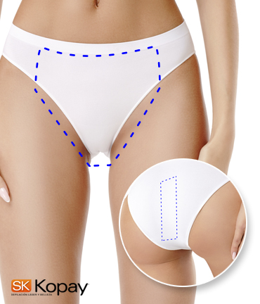 Brazilian Bikini/ Bikini Brasilero