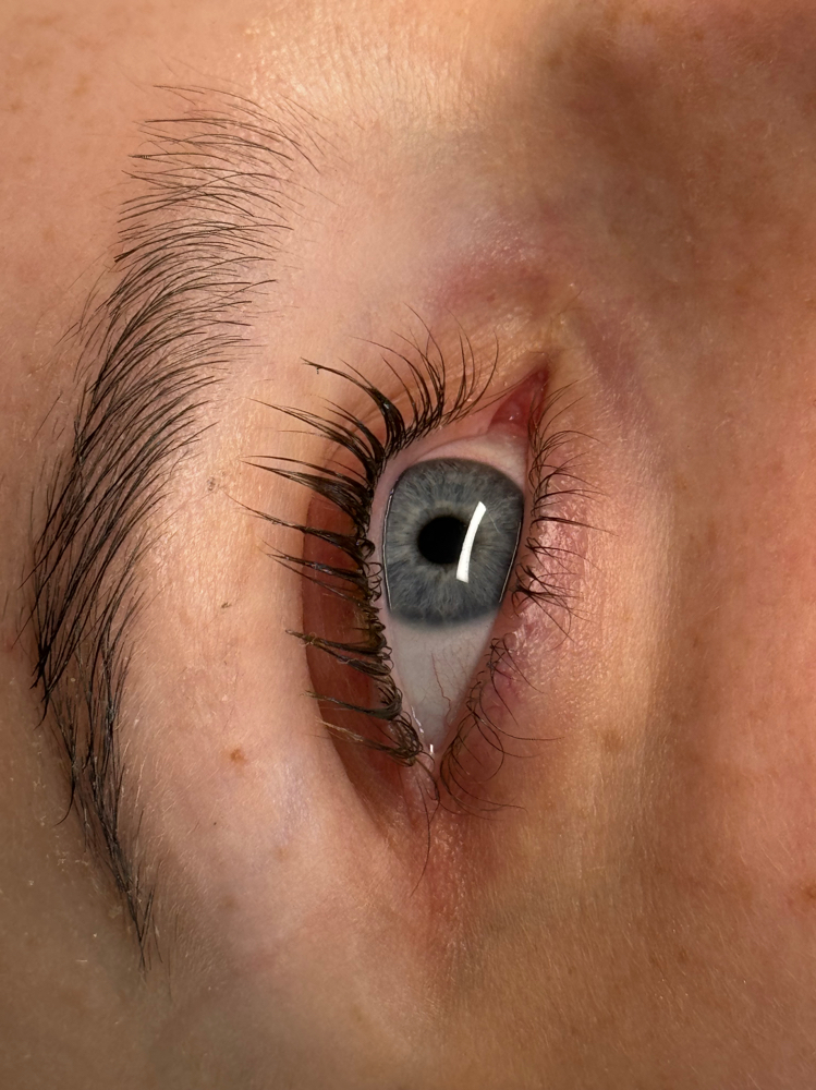 Lash Lift