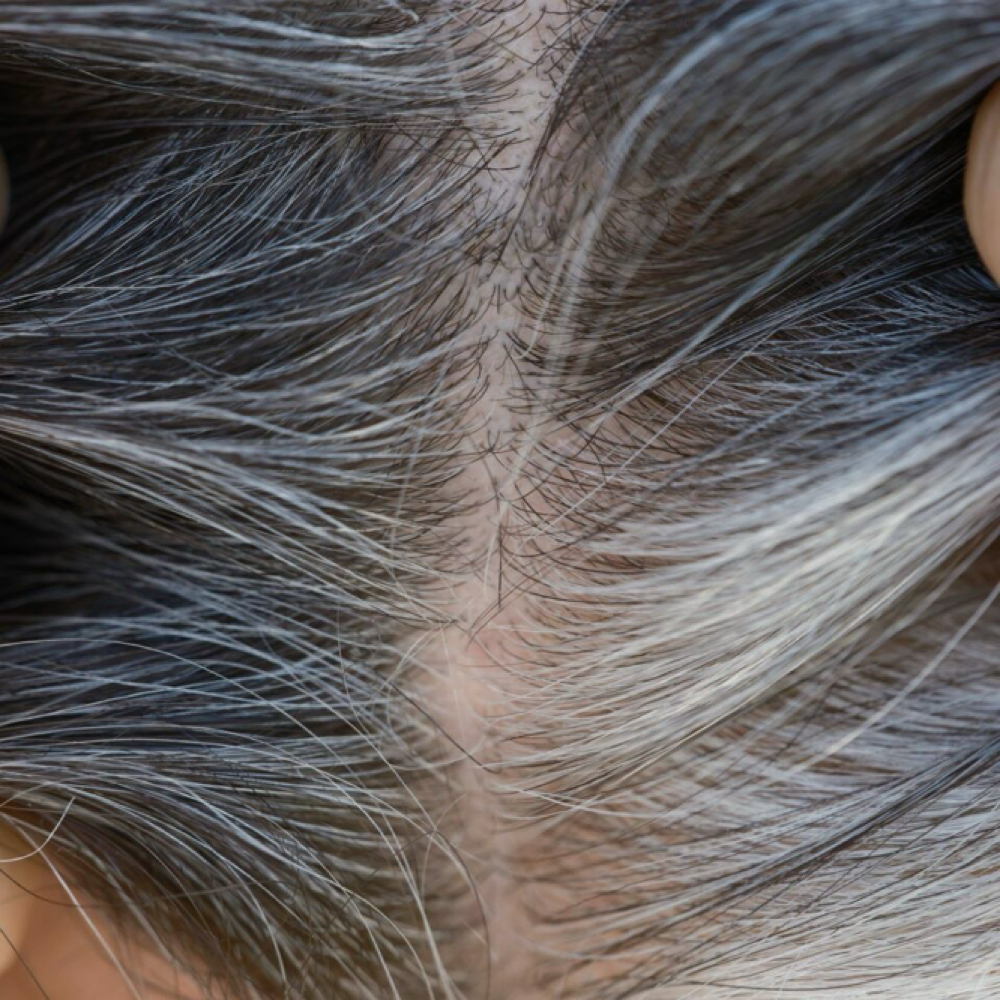 Root Shade Retouch (over 11 weeks) at Dimensional Dallas in Grand Prairie Tx, TX