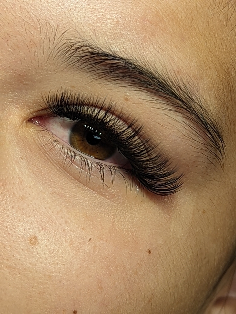LED Volume Eyelash Extensions