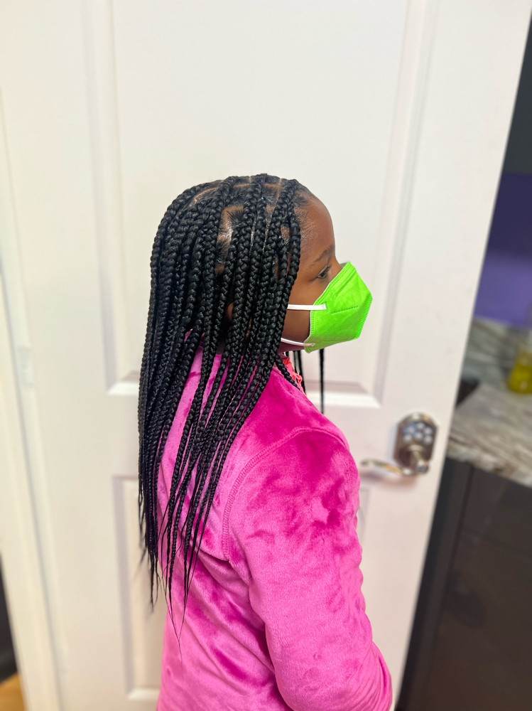 Kids Braids With Braiding Hair