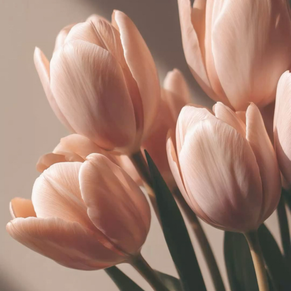 Mother’s Day Package at Haven Massage in Lake Worth, TX