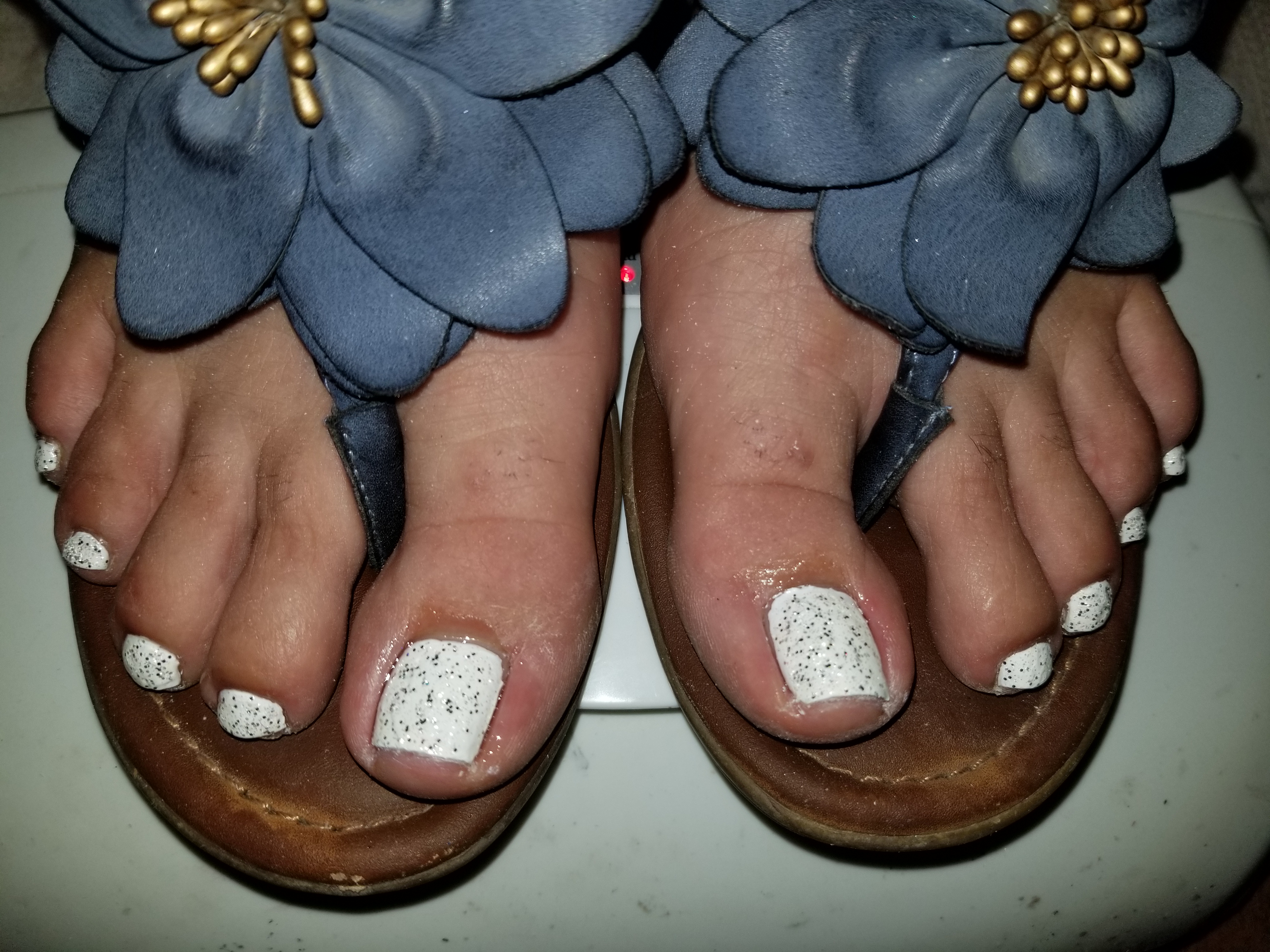 Polish Change Including Trim