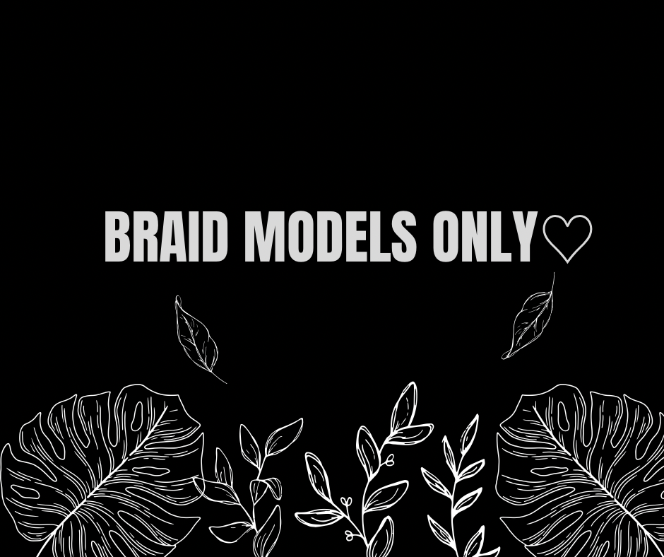 Braid Models♡