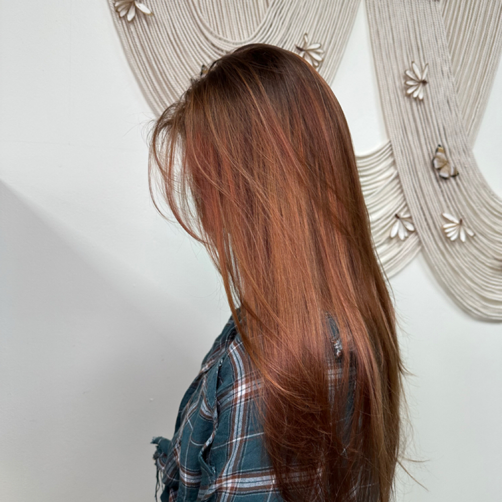 Toner/Gloss & Blowout at Pacific Beach Hair by Cindy Bradford in San Diego, CA