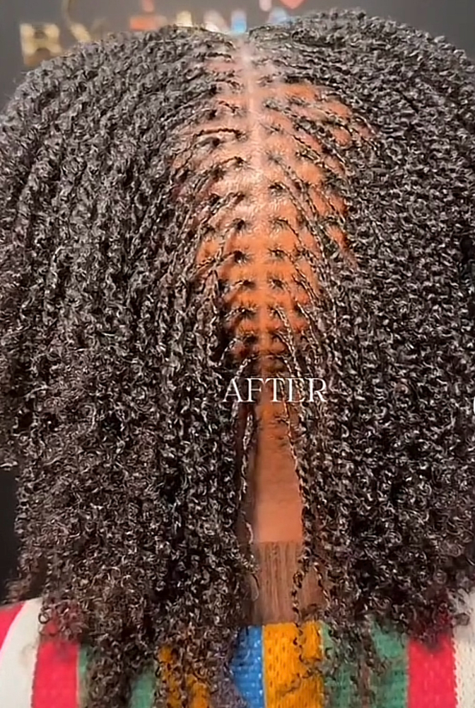 Micro Locs/ Twist, Braids