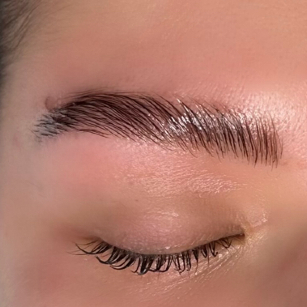 Brow Lamination And Tint at ProNails Lashes & Brows Studio in Woodburn, OR