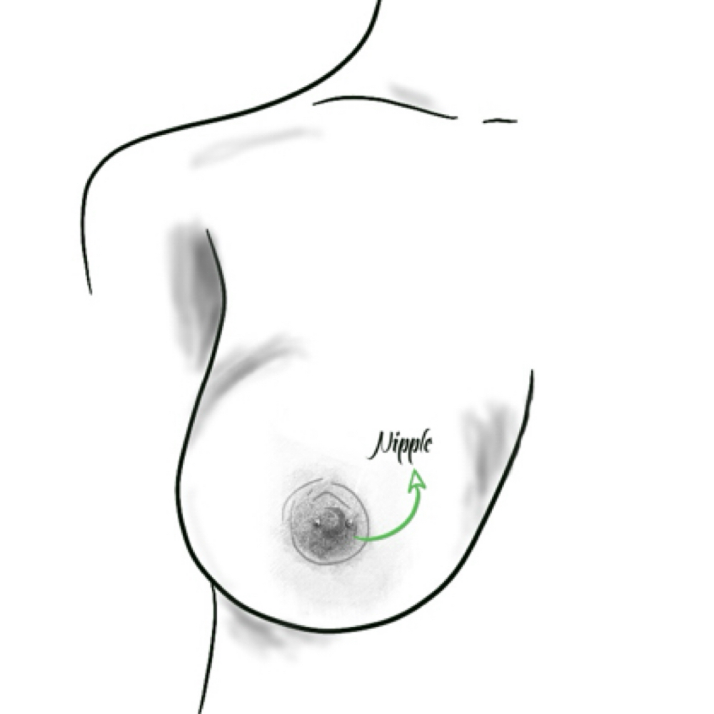 Nipple (Single) at Ethereal Adornments Pierced By Cambria in Murrieta, CA
