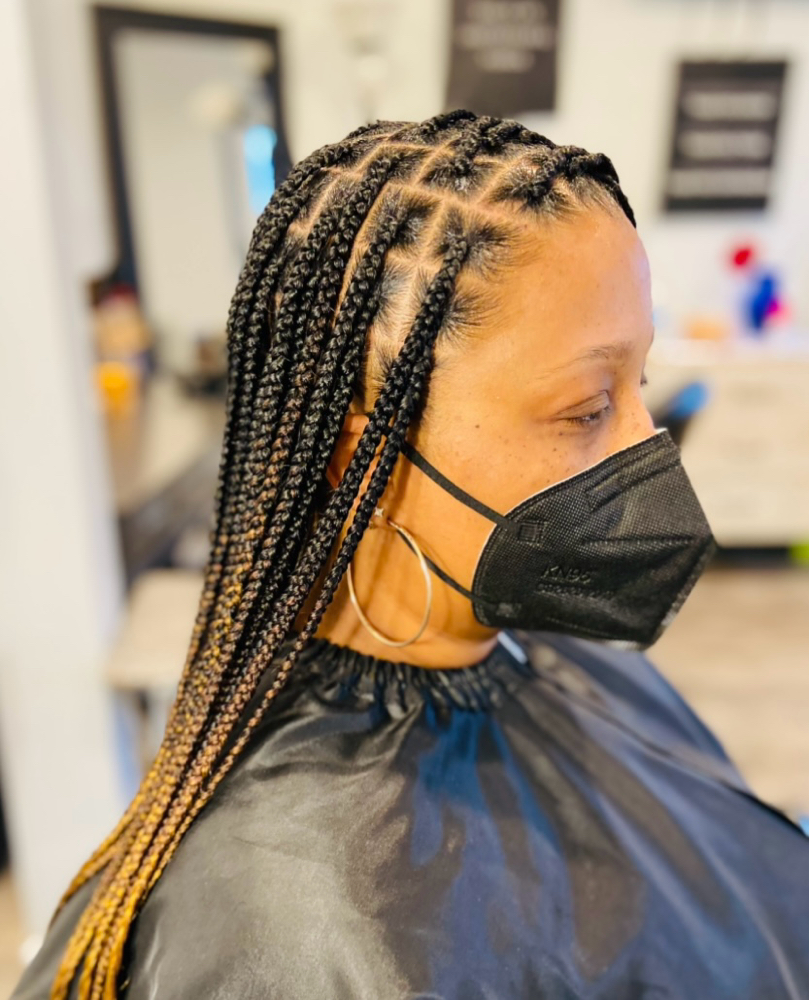 Knotless Braids W/ Hair Included