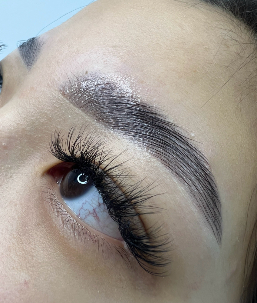 Brow Lamination | Tinting | Waxing