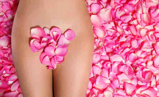 Bikini Wax