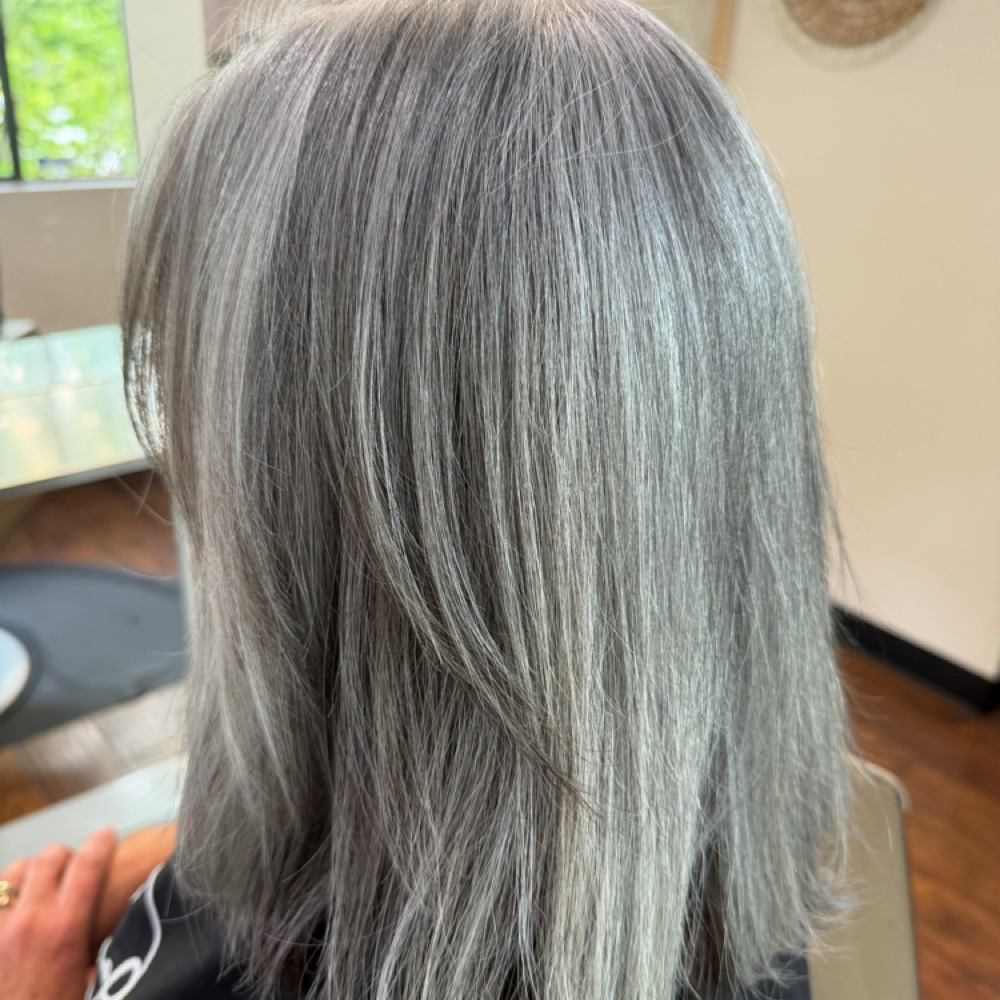Grey Bleding Consultation at Sol Hair Co. in Tumwater, WA