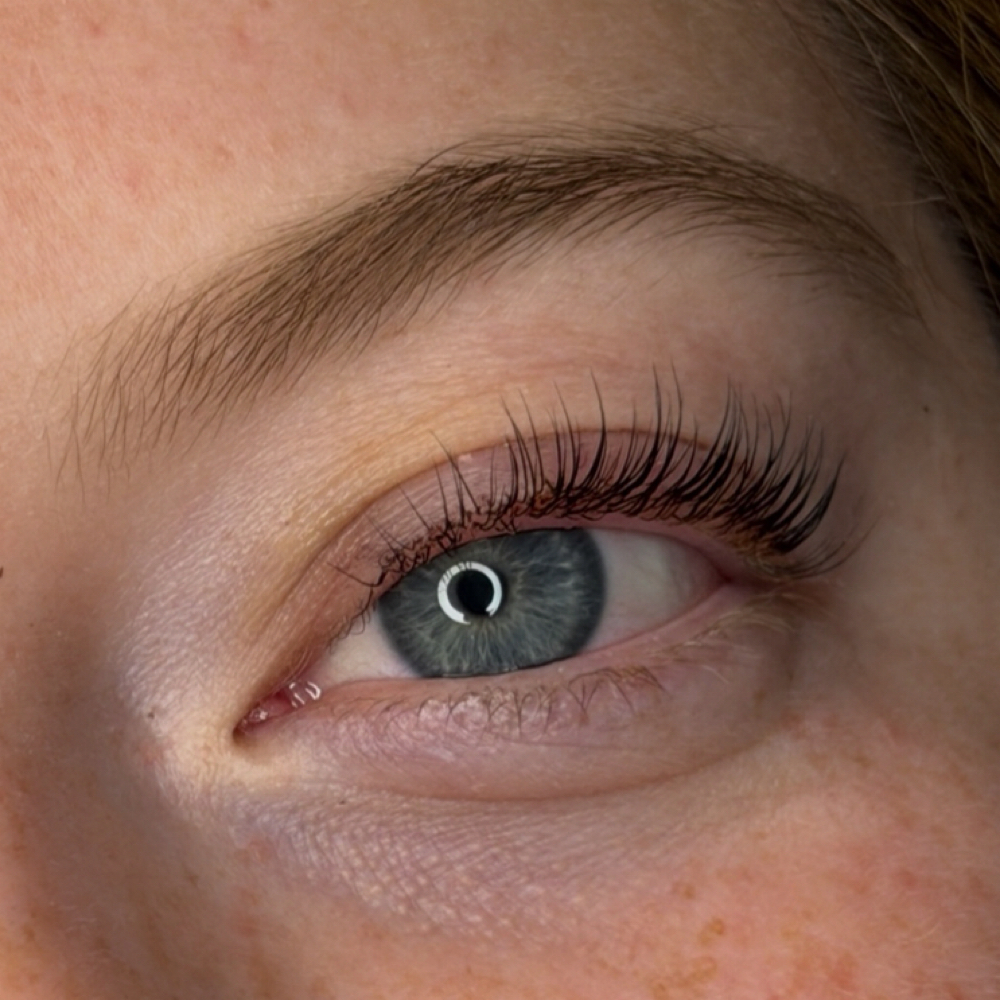 Brow / Lash Tint Refresh at OpalSknStudio in Santa Monica, CA
