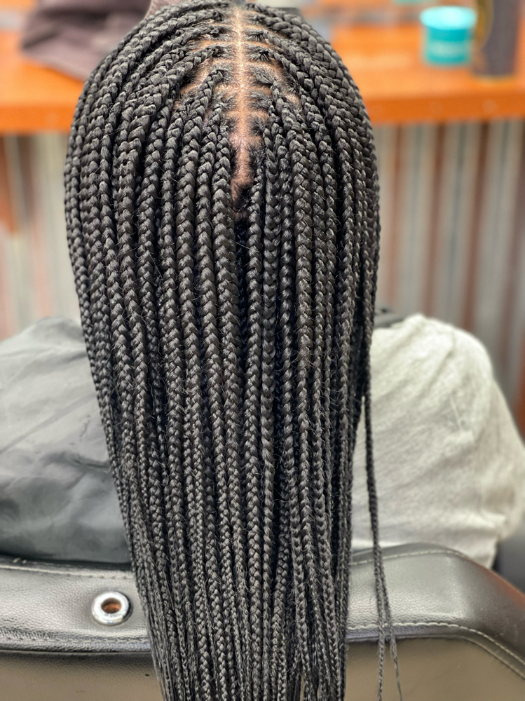 Knotless Braids- Small