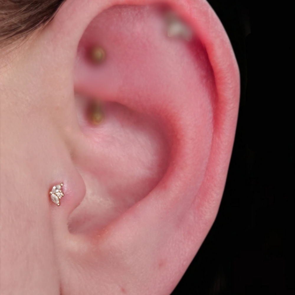 Tragus Piercing at Chrissy Von in Pelham, NH