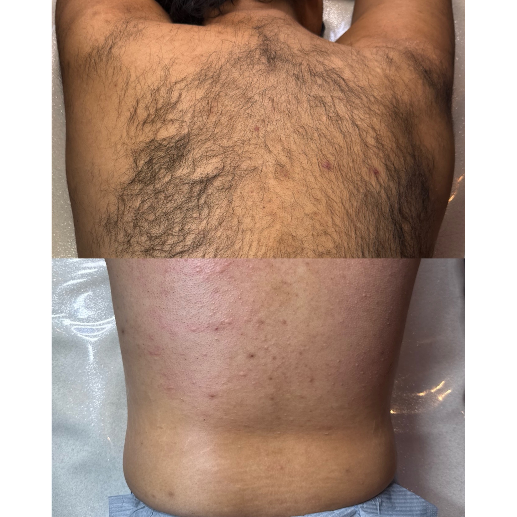 Full Back at Starlight Wax Studio in San Antonio, TX