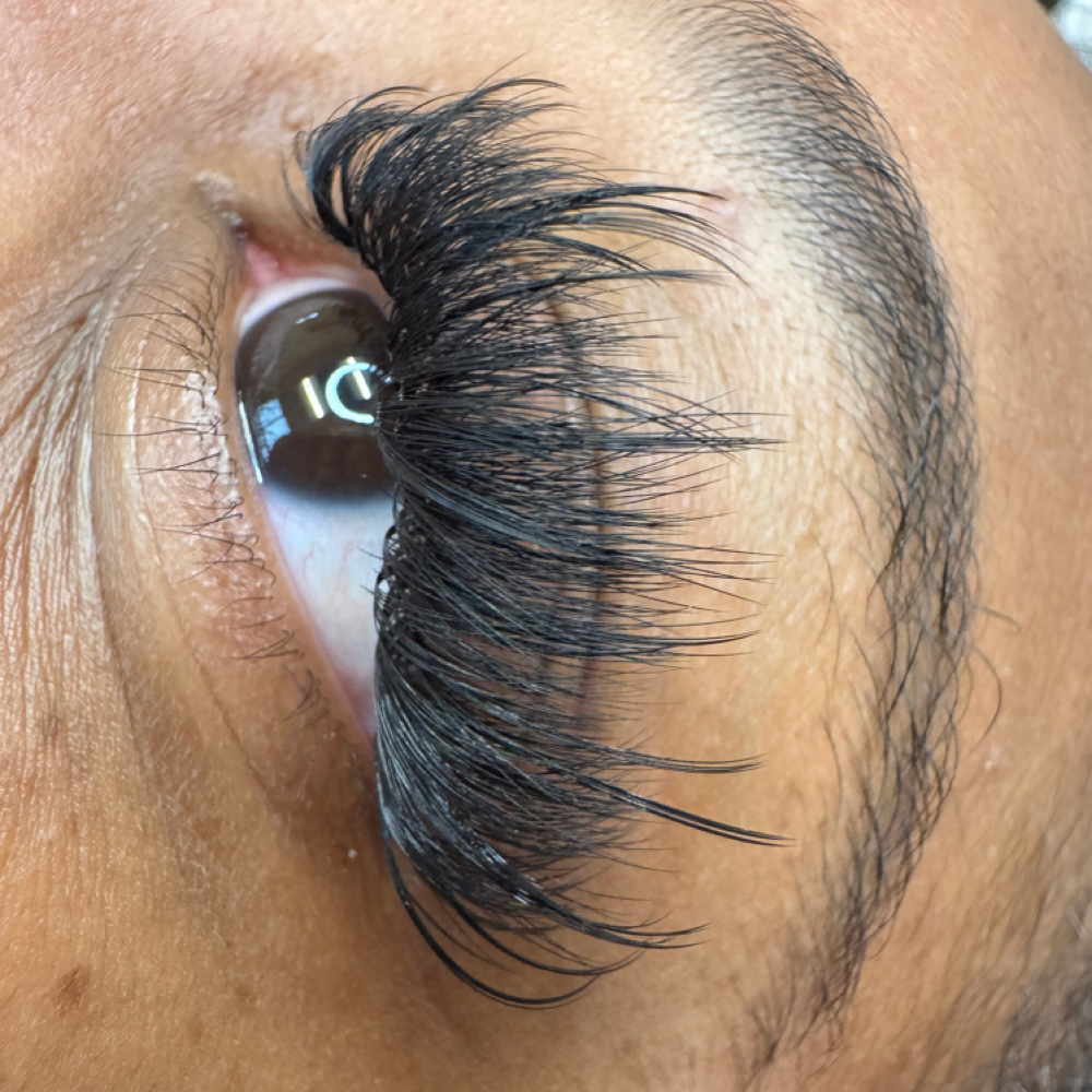 Wispy Volume at NLoveLash&Brows in Kansas City, MO