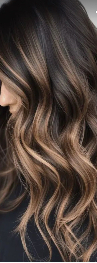 Balyage w/toner (Master/pro)