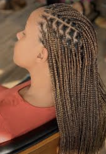 Knotless (small) Box Braids