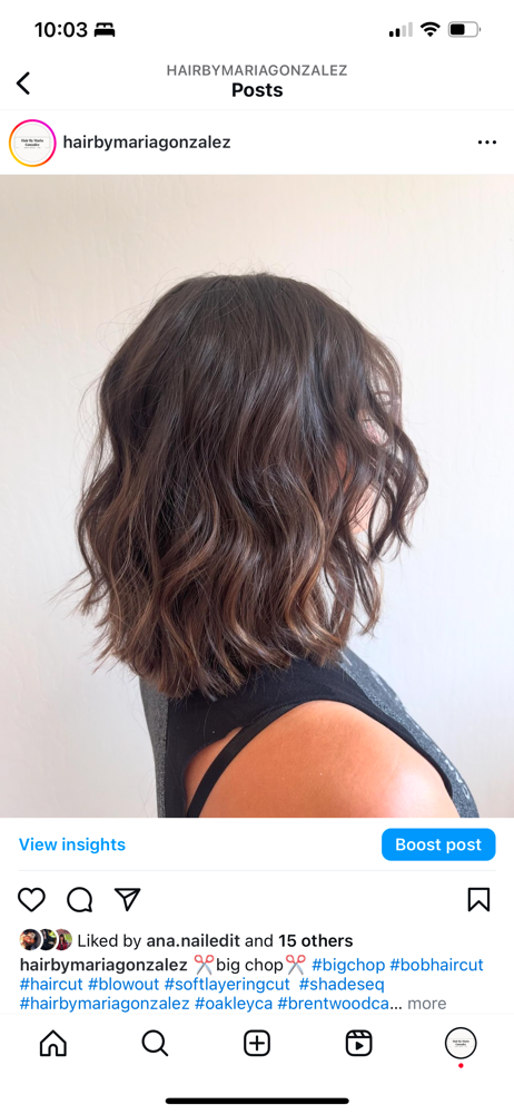 Express Root Touch Up