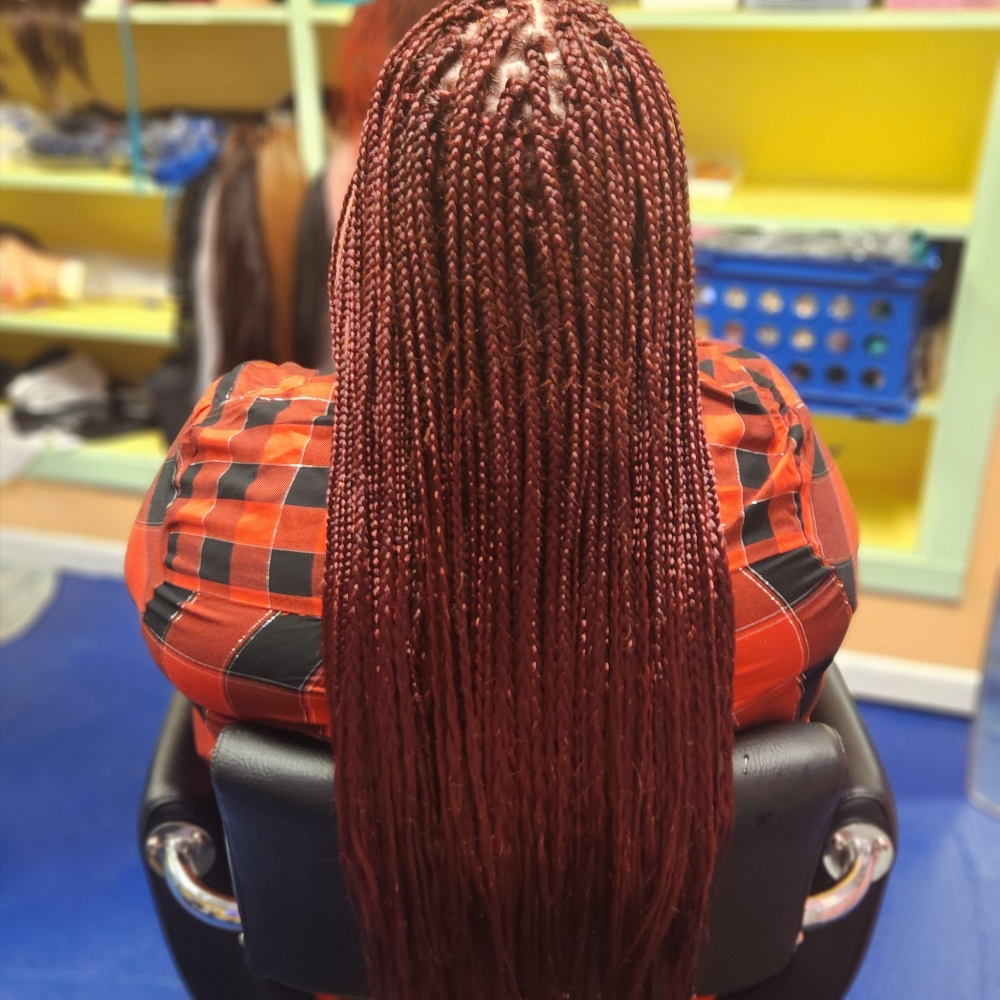 Braided Extensions - 16" and up