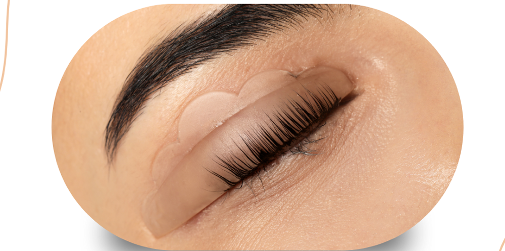 Lash Lift and Tint