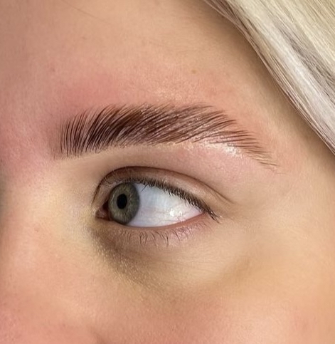 Brow Lamination w/o Tint