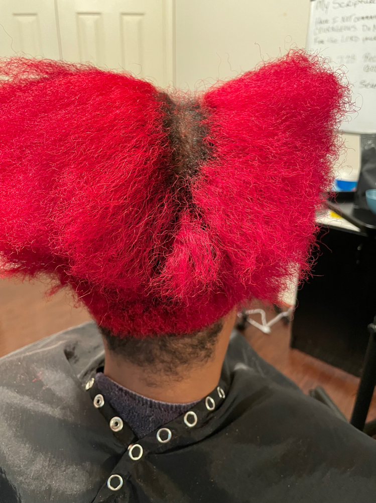 Root Touch Up