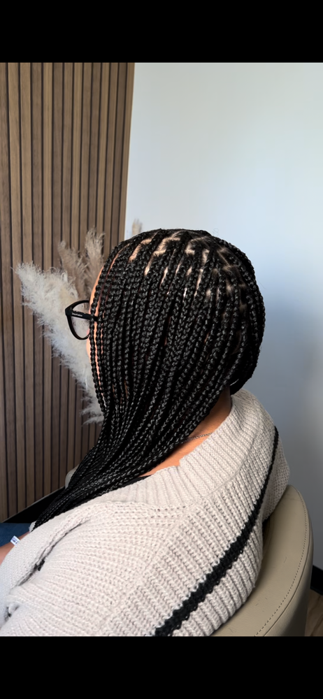 Medium Knotless Braids Mid Back