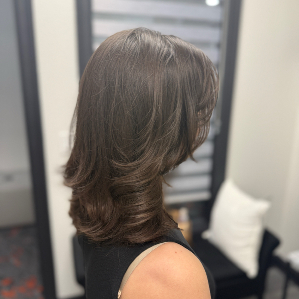 Hair Gloss Treatment at Dani Baco in Rockwall, TX