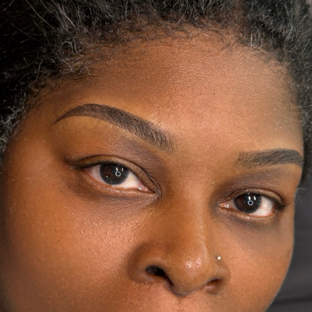 Ombré Powder Brow 6-8 Week Touch Up at Brows Perfection Studio in Columbia, MD