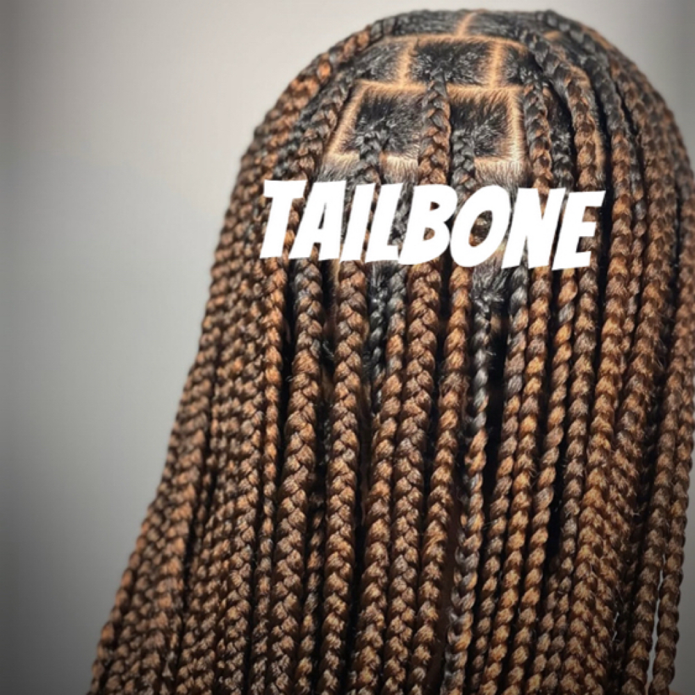 Medium Knotless ( Tailbone) at Fa2 Hair Salon in Vienna, VA
