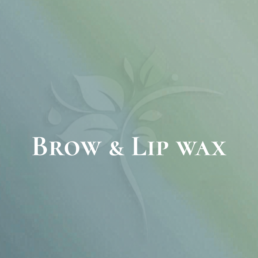 Brow & Lip Wax at Elysian Esthetics Spa in Loganville, GA