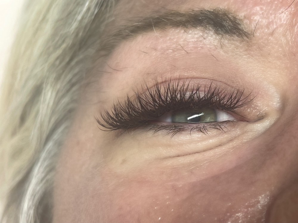 Brown Lashes