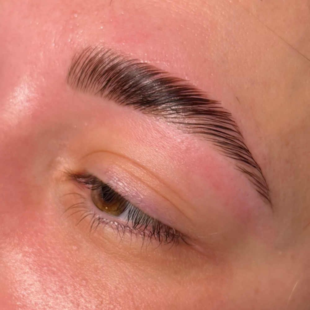Brow Lamination, Wax, + Tint at Madi Coca Aesthetics At The Skin Refinery in Nicholasville, KY
