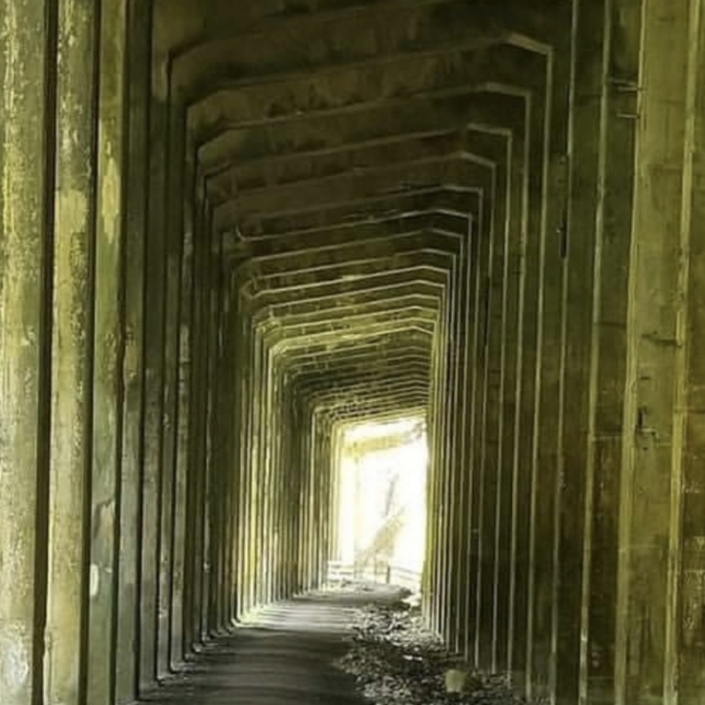 Hypnotherapy at Screaming Octopus in East Wenatchee, WA