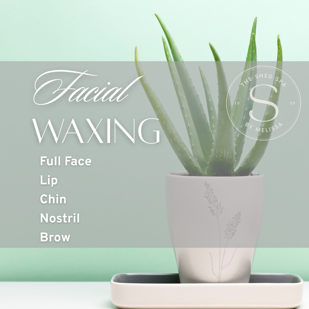 Facial Waxing Services at The Shed Spa - Seymour Aesthetician in Seymour, TN
