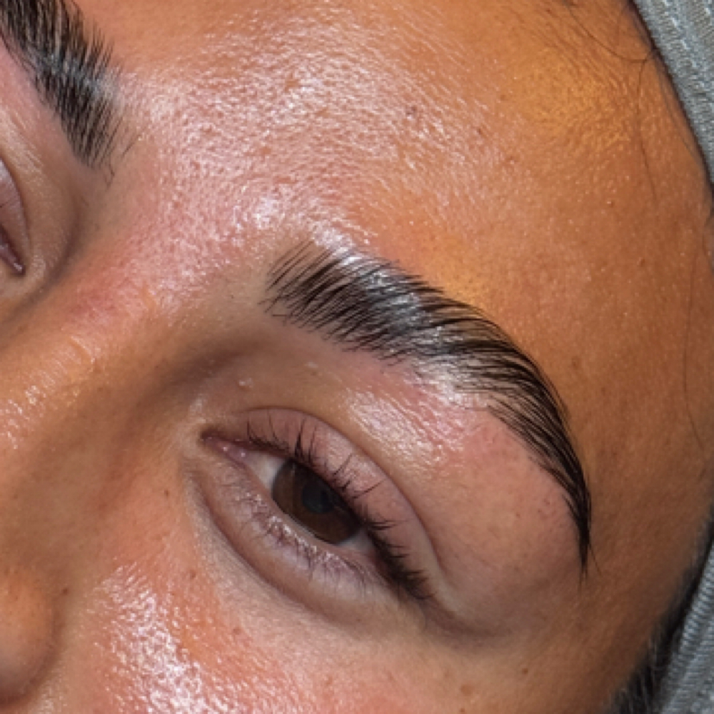 Brow Lamination & Tint at Skin Refinery in Ozark, MO