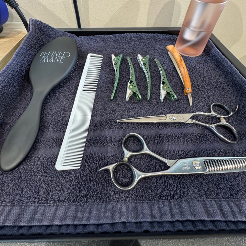 Haircuts at Chad Creasey in BELLINGHAM, WA