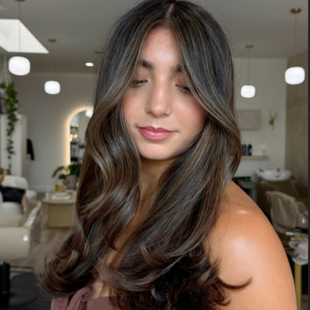 Partial Hilights/Balayage + Haircut at Honeylight Salon in Chula Vista, CA